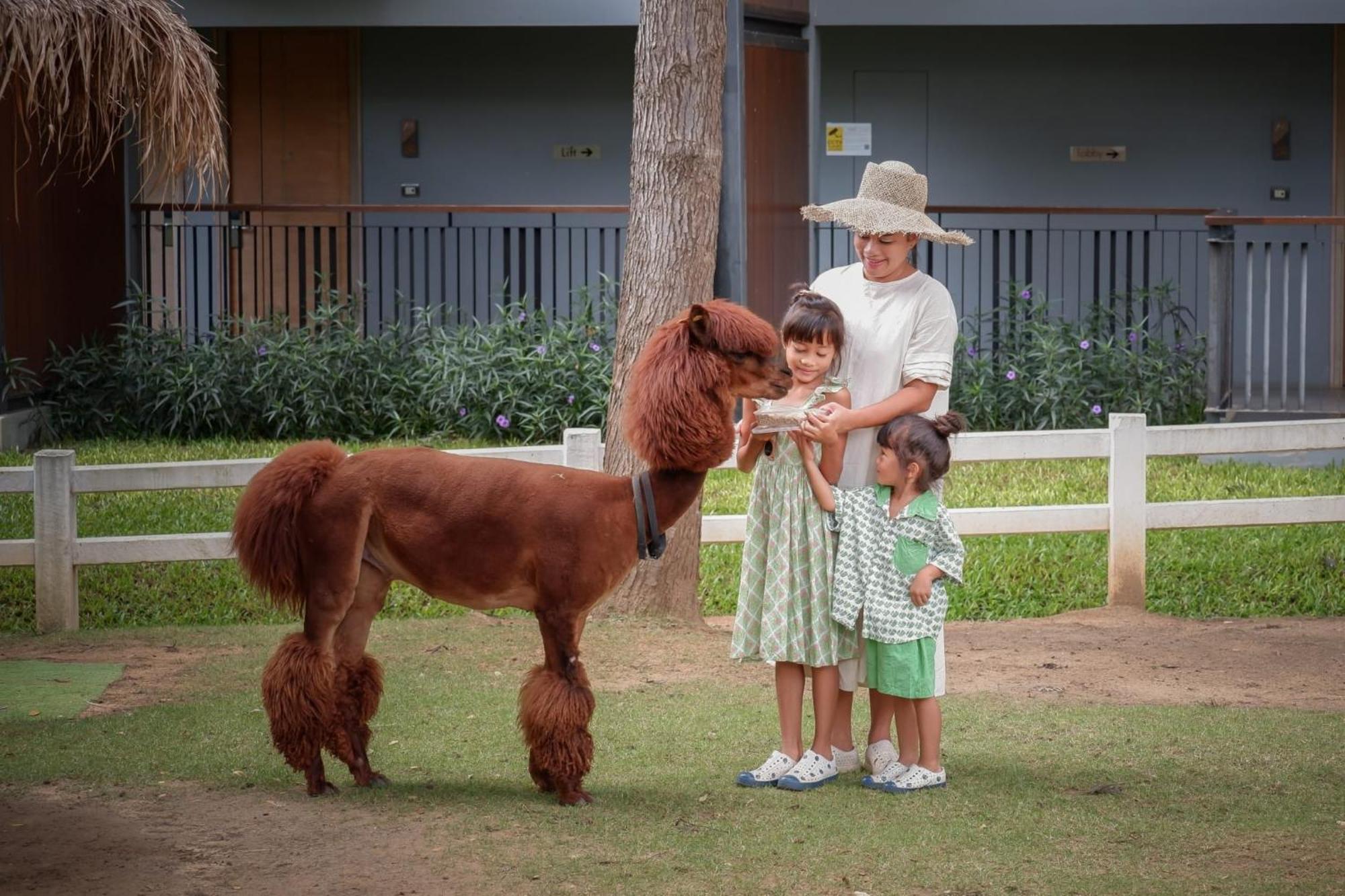 Dusitd2 Khao Yai Hotel Muszi Kültér fotó